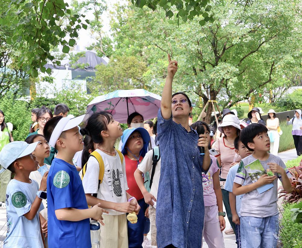 澳门·新葡澳京(中国)官方网站到广州荔湾花地河碧道探寻生态秘境(图2)